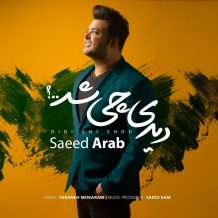 Saeed Arab – Didi Chi Shod