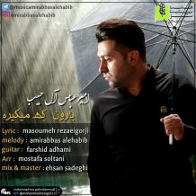 AmirAbbas Alehabib – Baroon Ke Migire