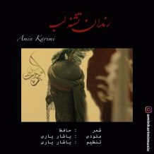 Amin Karimi – Rendan Teshne Lab