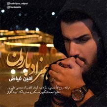Amin Fayyaz – Hamzade Baroon