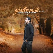 Ehsan Khaje Amiri – Ghalbe Saati (Live)