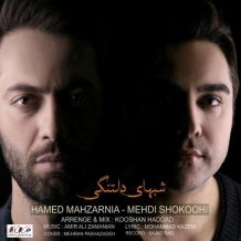 Hamed Mahzarnia – Shabhaye Deltangi (Ft Mehdi Shokoohi)