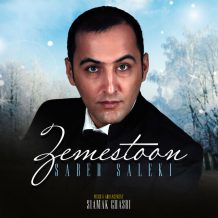 Saber Saleki – Zemestoon