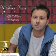 Nadim – Mishkane Delam