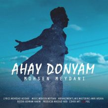 Mohsen Meydani – Ahay Donyam