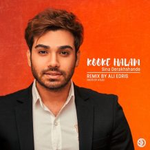 Sina Derakhshande – Kooke Halam (Remix)