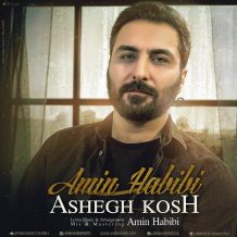 Amin Habibi – Ashegh Kosh