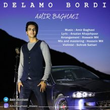 Amir Baghaei – Delamo Bordi