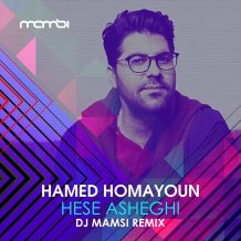 Hamed Homayoun – Hese Asheghi (Remix)