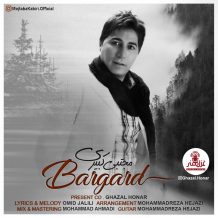 Mojtaba Kabiri – Bargard