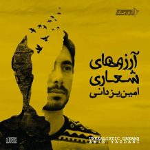 Amin Yazdani – Unrealistic Dreams