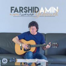 Farshid Amin – Yedooneh