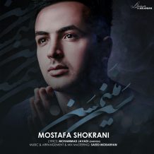 Mostafa Shokrani – San Manimsan