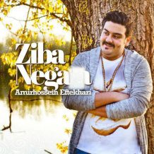 Amirhossein Eftekhari – Ziba Negara