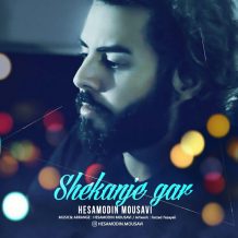 Hesamodin Mousavi – Shekanje Gar