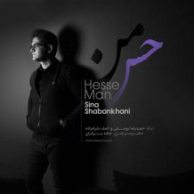 Sina Shabankhani – Hesse Man
