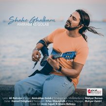 Amir Abbas Golab – Shahe Ghalbam