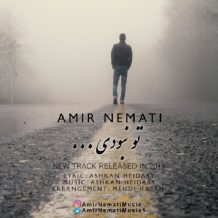 Amir Nemati – To Naboodi