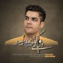 Kianoush Hamze – Donyaye Kotah