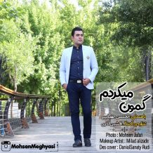 Mohsen Meghyasi – Gamon Mikardam