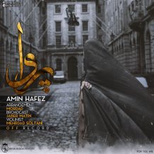 Amin Hafez – Parva