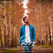 Mohammad Norouzi – Paeez