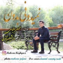 Mohsen Meghyasi – Nemidoni Bedoon