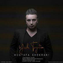 Mostafa Shokrani – Yoxdi Taqatim
