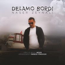 Naser Zeynali – Delamo Bordi