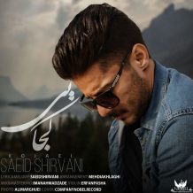 Saeid Shirvani – Kojaei