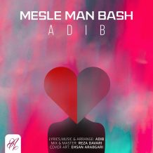 Adib – Mesle Man Bash