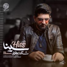 Sina Shabankhani – Hiss