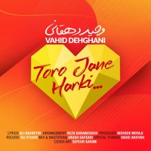 Vahid Dehghani – Toro Jane Harki