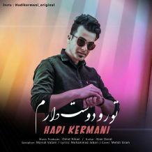 Hadi Kermani – Toro Doost Daram
