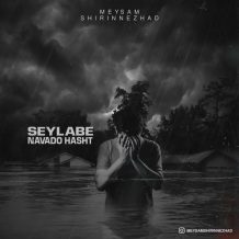 Meysam Shirinnezhad – Seylabe 98
