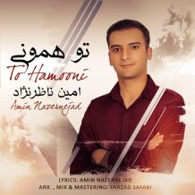 Amin Nazernejad – To Hamooni