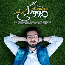 Emad Pour Afkhami – Divoonegi