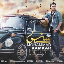 Mohammad Kamkar – Shans