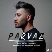 Ali Yasini – Parvaz