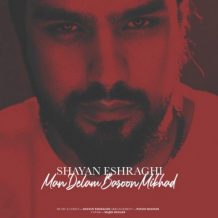 Shayan Eshraghi – Man Delam Baron Mikhad