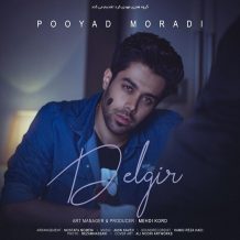 Pooyad Moradi – Delgir