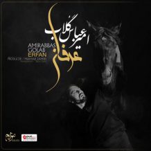 Amir Abbas Golab – Erfan