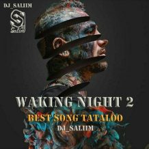 Dj Saliim –  Waking Night 2 (Best Song Tataloo)