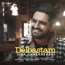 Sina Shabankhani – Delbastam