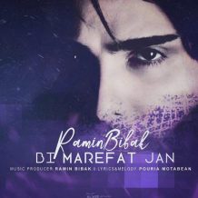 Ramin Bibak – Bi Marefat Jan