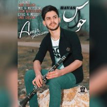 Amir Gholami – Havas