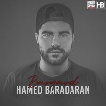 Hamed Baradaran – Bargard