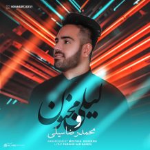 Mohamadreza Seily – Leyli o Majnon