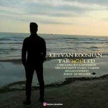 Keyvan Kooshan – Tabeed