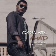 دانلود آهنگ جدید احد به نام قارا یل